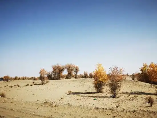 南疆大环游 和田到阿拉尔