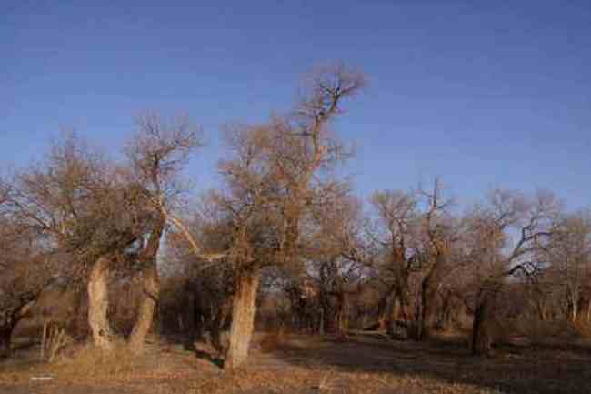 新疆自驾之旅1,图一