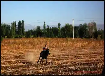 伊犁河·塞外江南·伊犁人——伊犁印象,图七