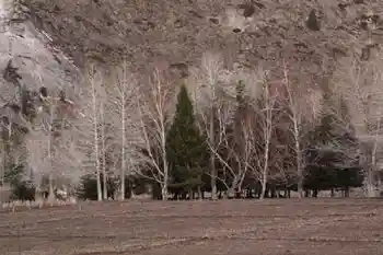 新疆自驾之旅四,图十