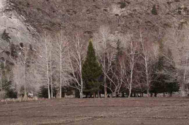 新疆自驾之旅四,图十