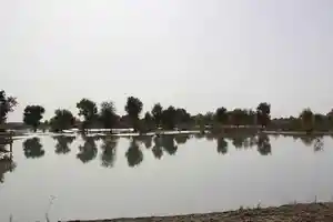 新疆南疆六日游之三