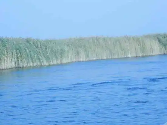 新疆南疆六日游续