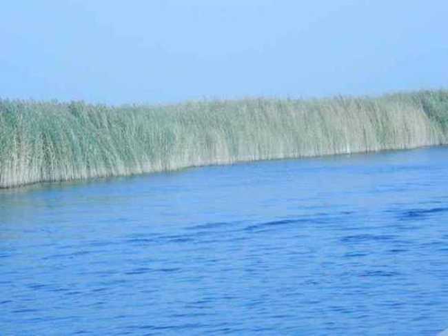 新疆南疆六日游续,图九