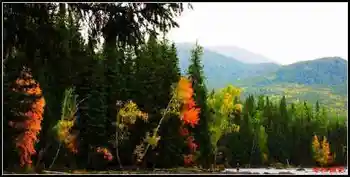 冒雨探访神秘怪异湖——喀纳斯湖（上）,图四