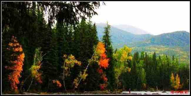 冒雨探访神秘怪异湖——喀纳斯湖（上）,图四