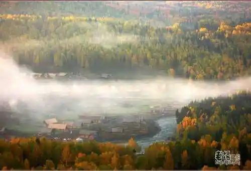 新疆旅游去沙漠看胡杨