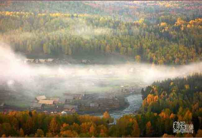 新疆旅游去沙漠看胡杨,图十九