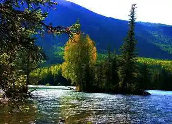 喀纳斯最美的风景线,图十七