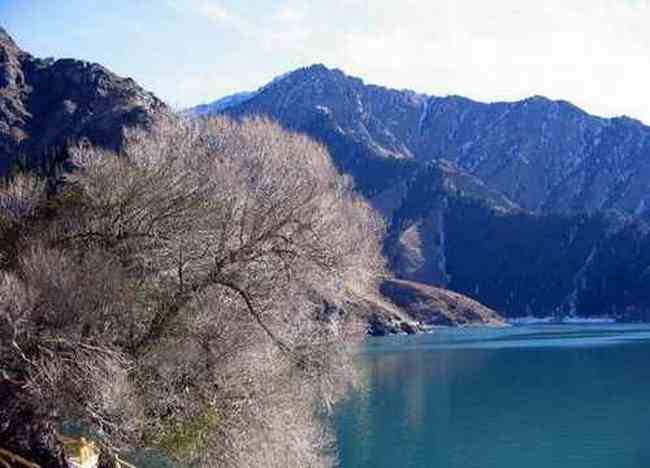 喀納斯為天山以北最美的地方,圖二