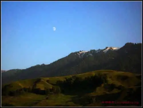 我拍的草原和少女那拉提