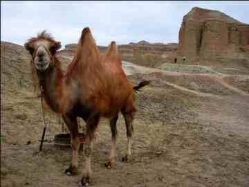 新疆的魔鬼城,图十一