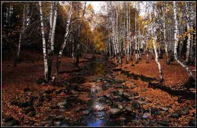 神的自留地--冷暖色的禾木,图六