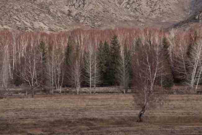 新疆自驾之旅四,图二十二