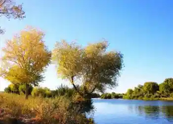 最美的“沙漠之湖”,图一