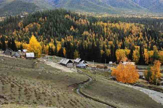 白哈巴西边的太阳落山岗,图十七