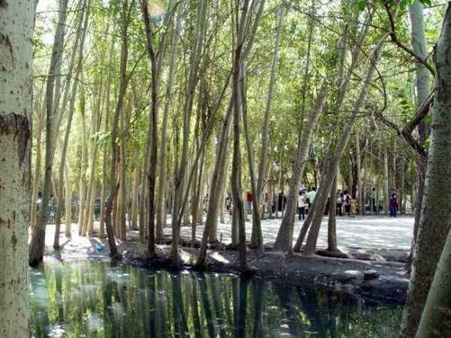 喀什艾提尕尔清真寺,图三