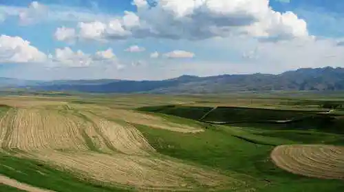 天堂很远而赛里木湖很近