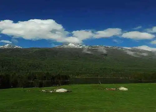 喀纳斯最美的风景线
