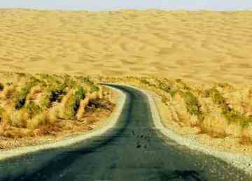 穿越塔克拉玛干 “死亡之海”中感受生命,图十五