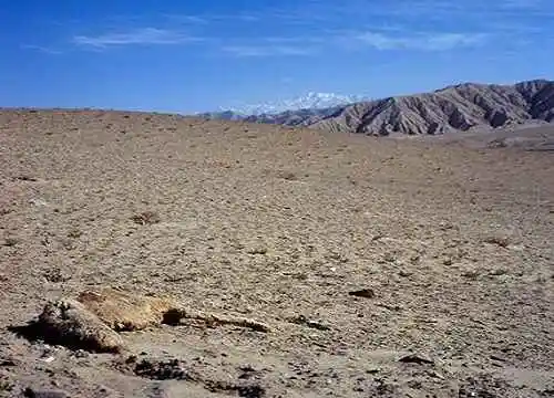 最高沙漠里的生命禁区