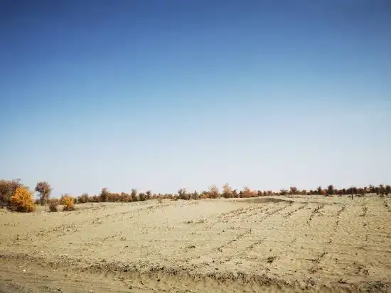 南疆大环游 和田到阿拉尔