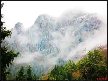 天然牧场南山风景区西柏杨沟,图五