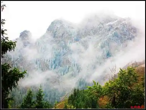 天然牧场南山风景区西柏杨沟