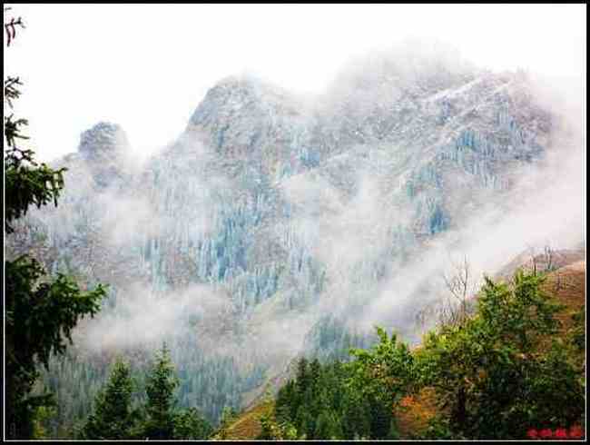 天然牧场南山风景区西柏杨沟,图五