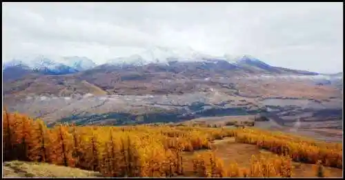 新疆之旅--喀纳斯