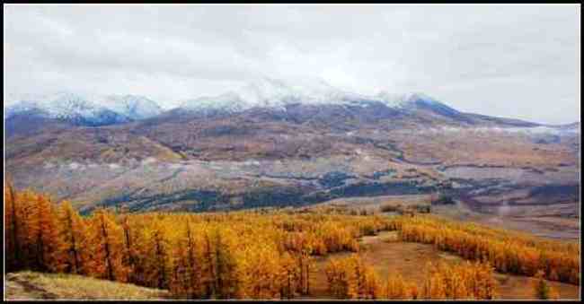 新疆之旅--喀纳斯,图十四