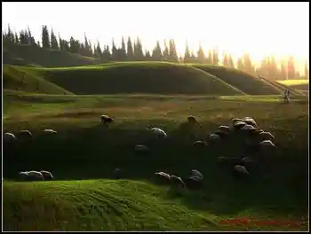 我拍的草原和少女那拉提,图三