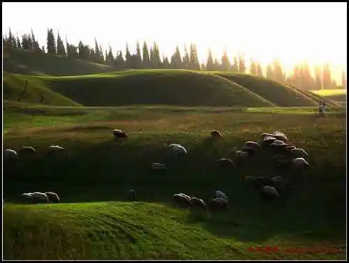 我拍的草原和少女那拉提