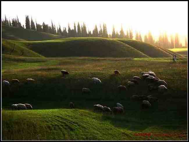 我拍的草原和少女那拉提,图三