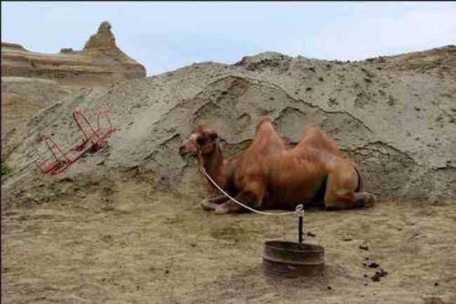 新疆的魔鬼城,图十三