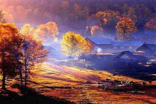 最想回忆的喀纳斯-红叶飘飞的日子,图二