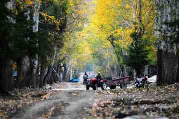 白哈巴西边的太阳落山岗,图二十一