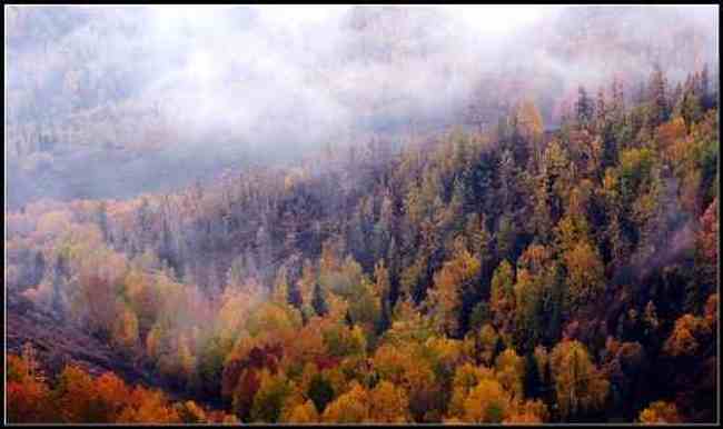 神的自留地--冷暖色的禾木,图三