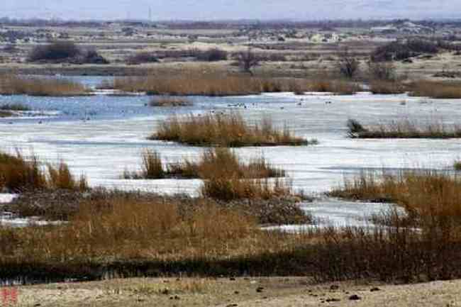 新疆自驾之旅五,图