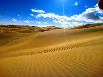 新疆尉犁县葫芦岛,图八