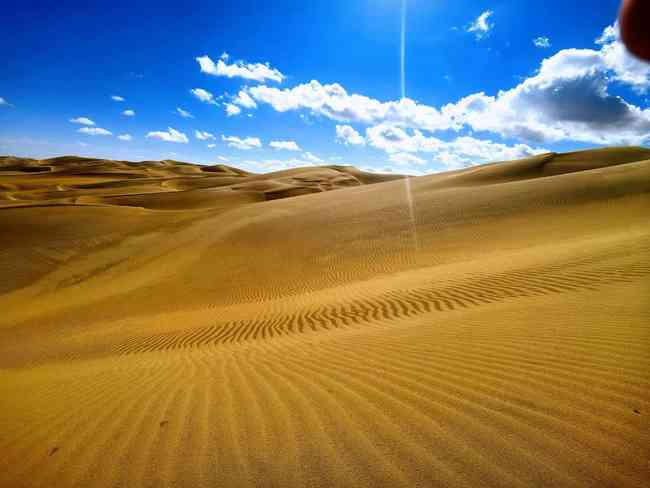 新疆尉犁县葫芦岛,图八