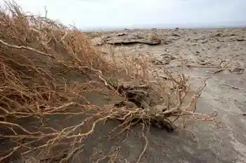 消失的中國(guó)最低地－艾丁湖,圖十七