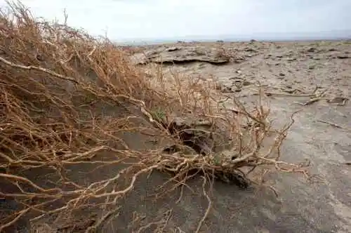 消失的中国最低地－艾丁湖