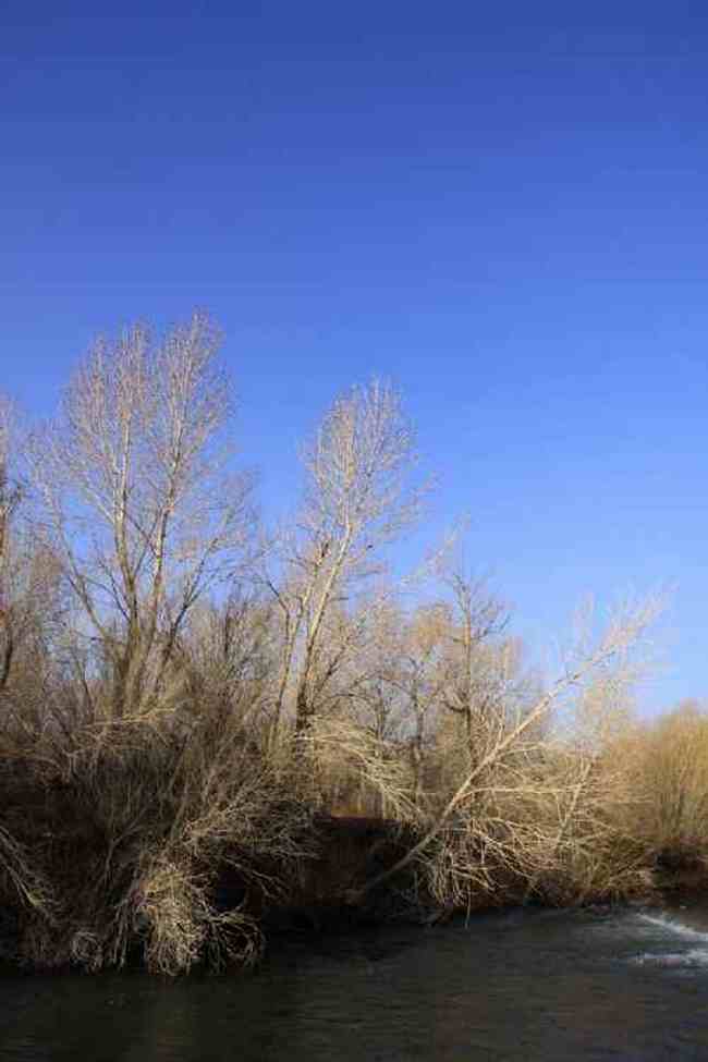 新疆自驾之旅1,图九