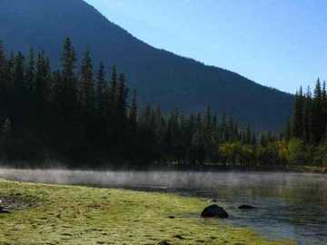 喀纳斯湖怪,图四