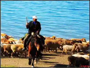 西来之异域世外之灵壤——赛里木湖,图五