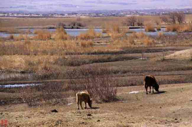 新疆自驾之旅五,图