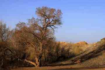 新疆自驾之旅1,图十一