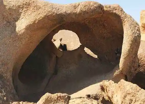 无边南疆大漠游