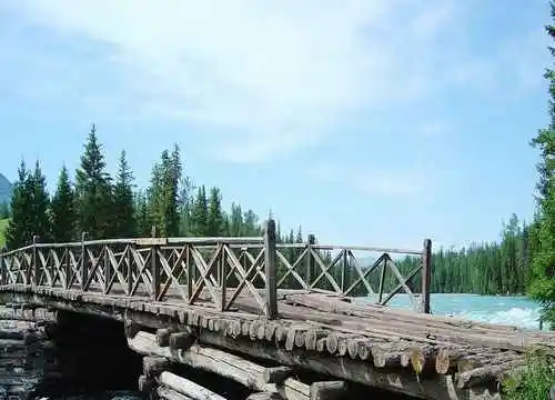 喀纳斯最美的风景线